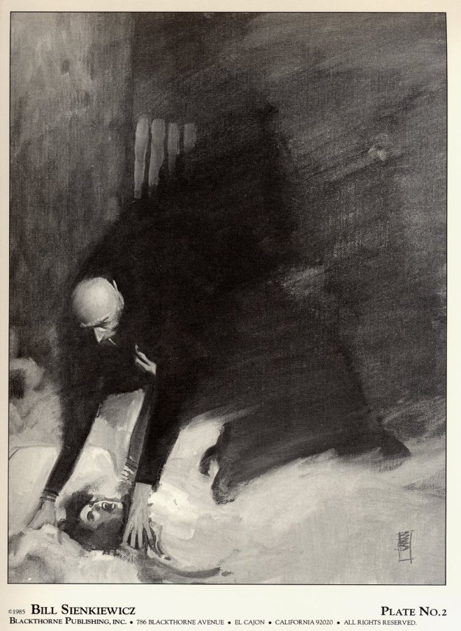 siekiewicz NOSFERATU