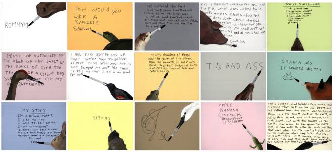 Michael_Dumontier__Neil_Farber_Inc_Animals_With_Sharpies_2009_1593_97